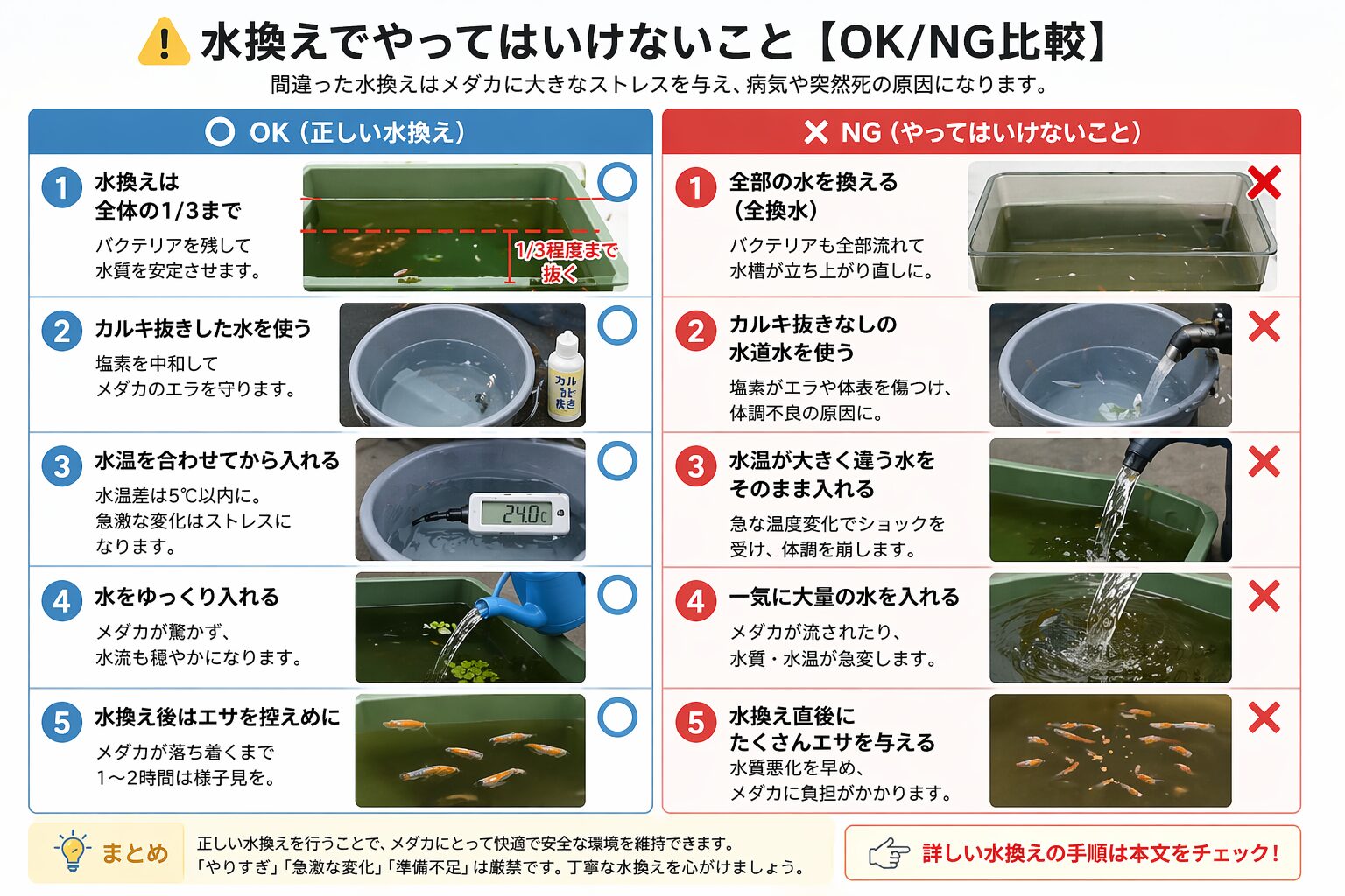 メダカ 水換え OK NG比較