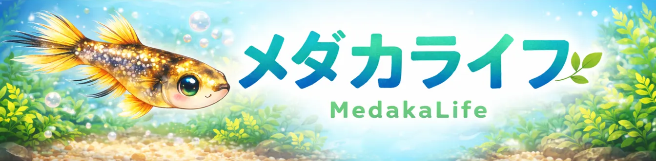 メダカライフ