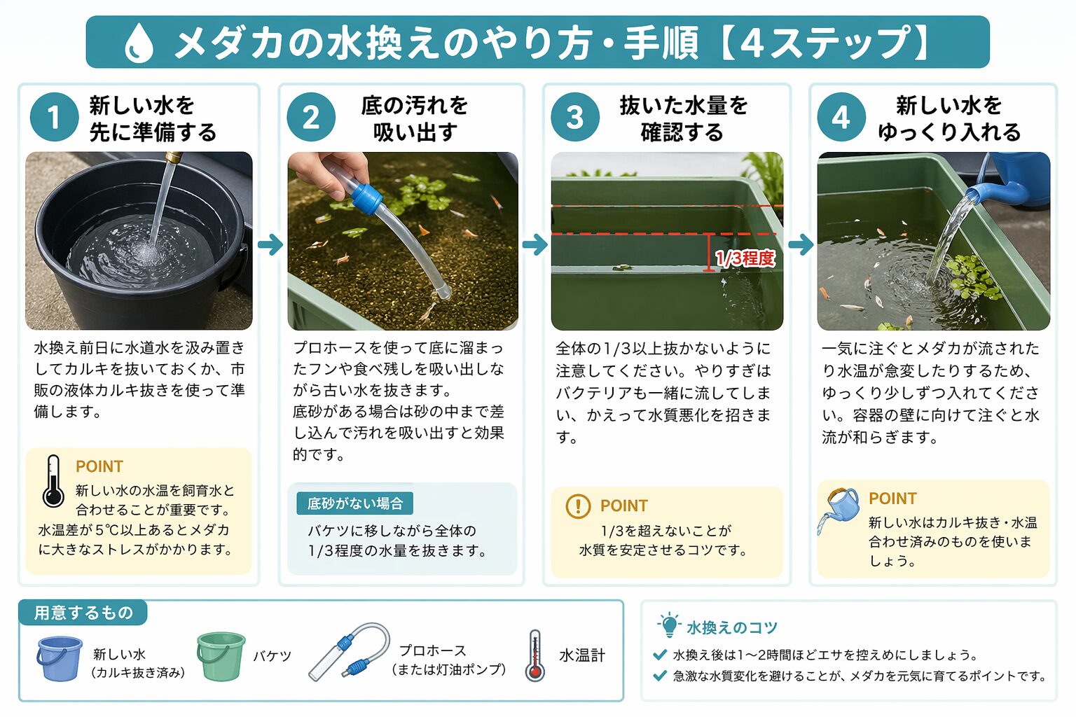 メダカの水換え手順