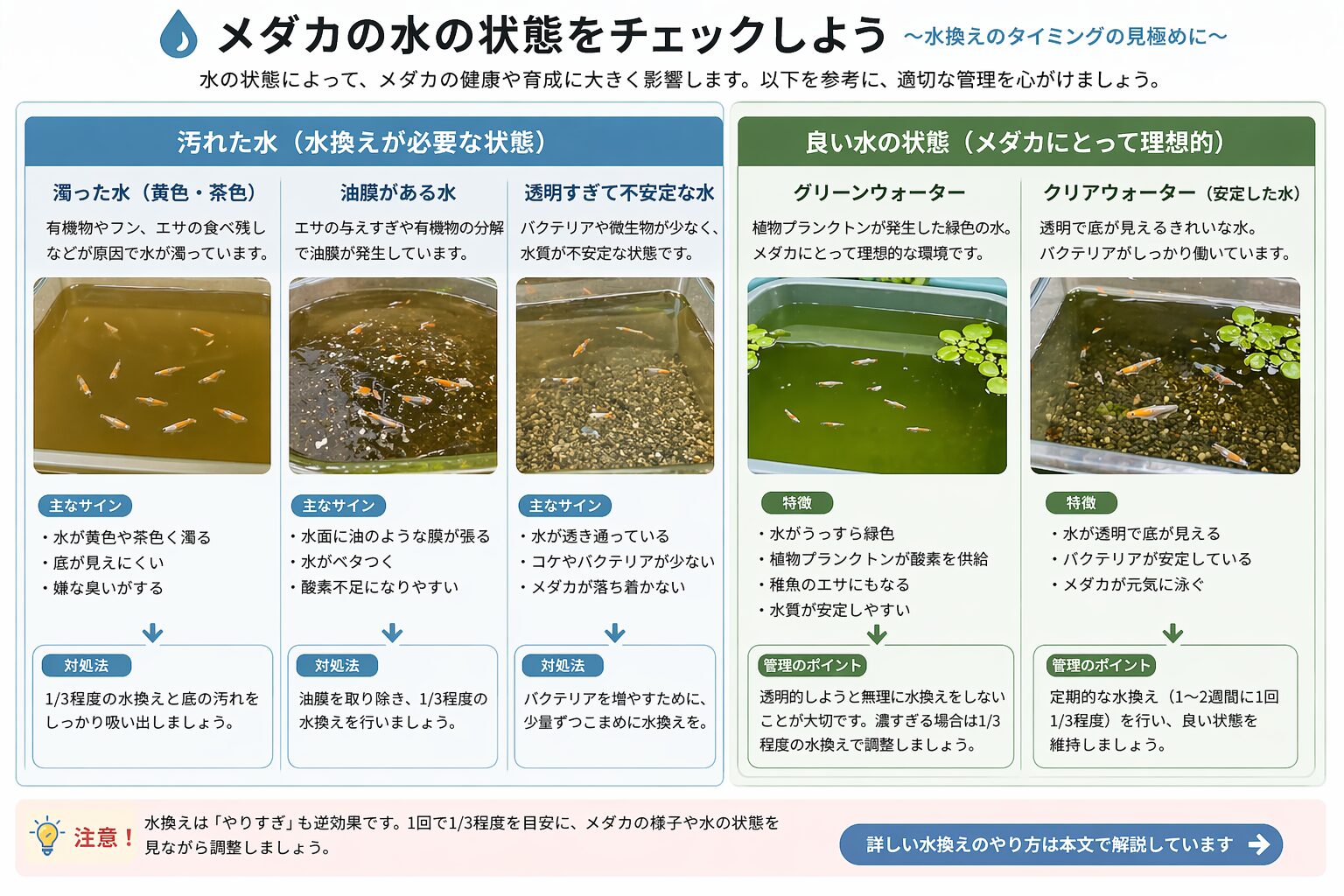 汚れた水とグリーンウォーターの違い
