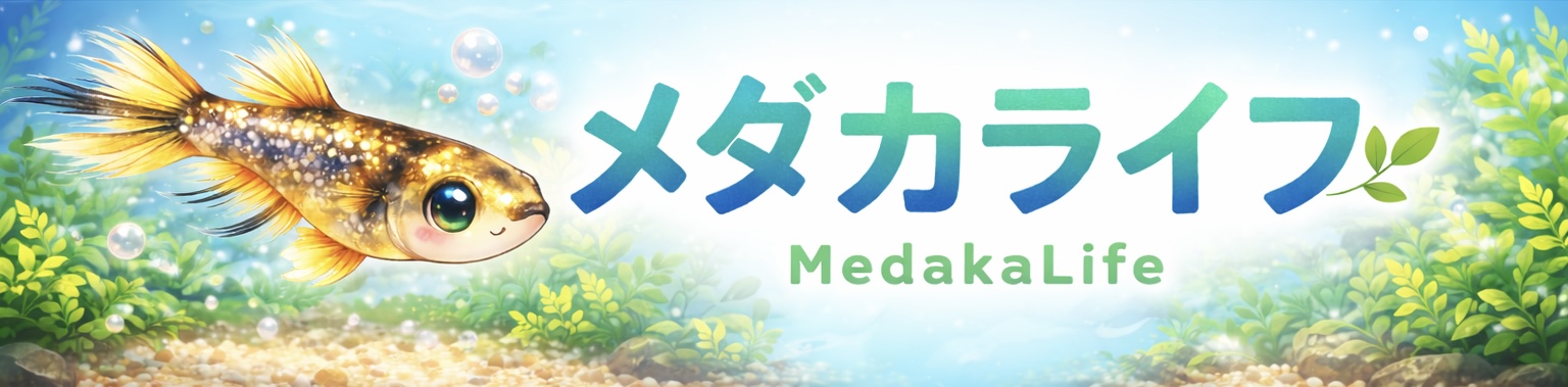 メダカライフ