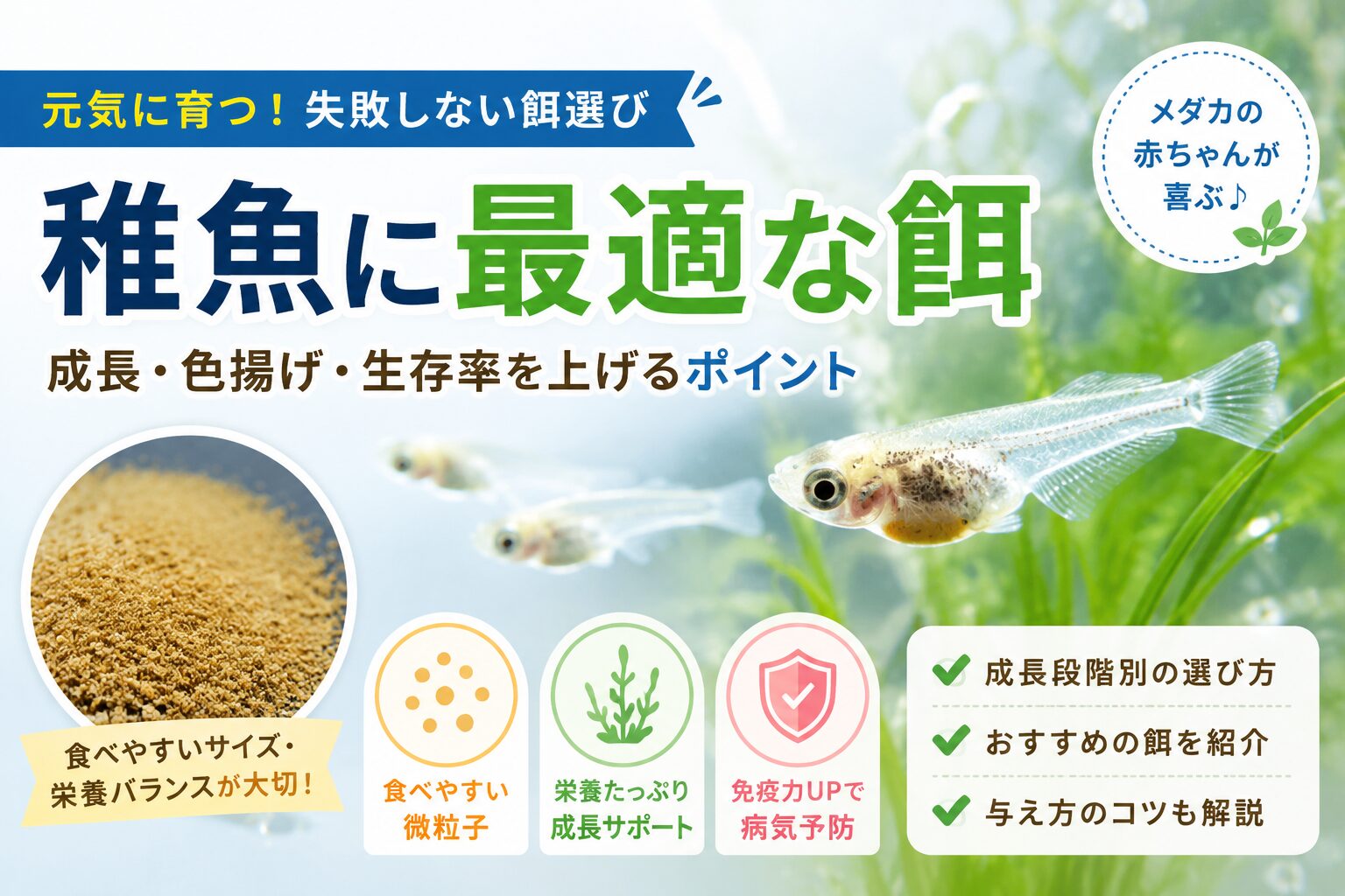 稚魚に最適