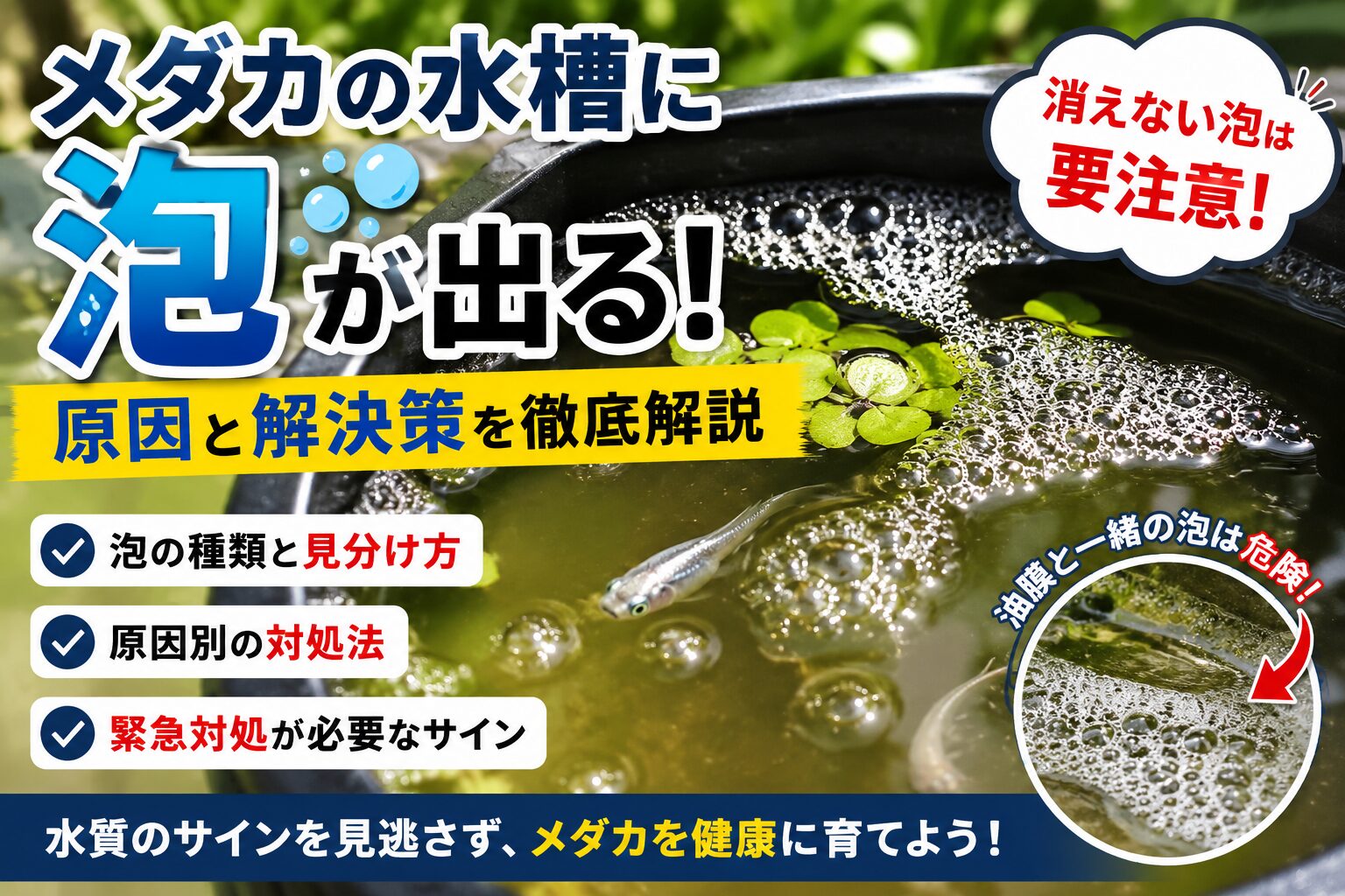 泡
