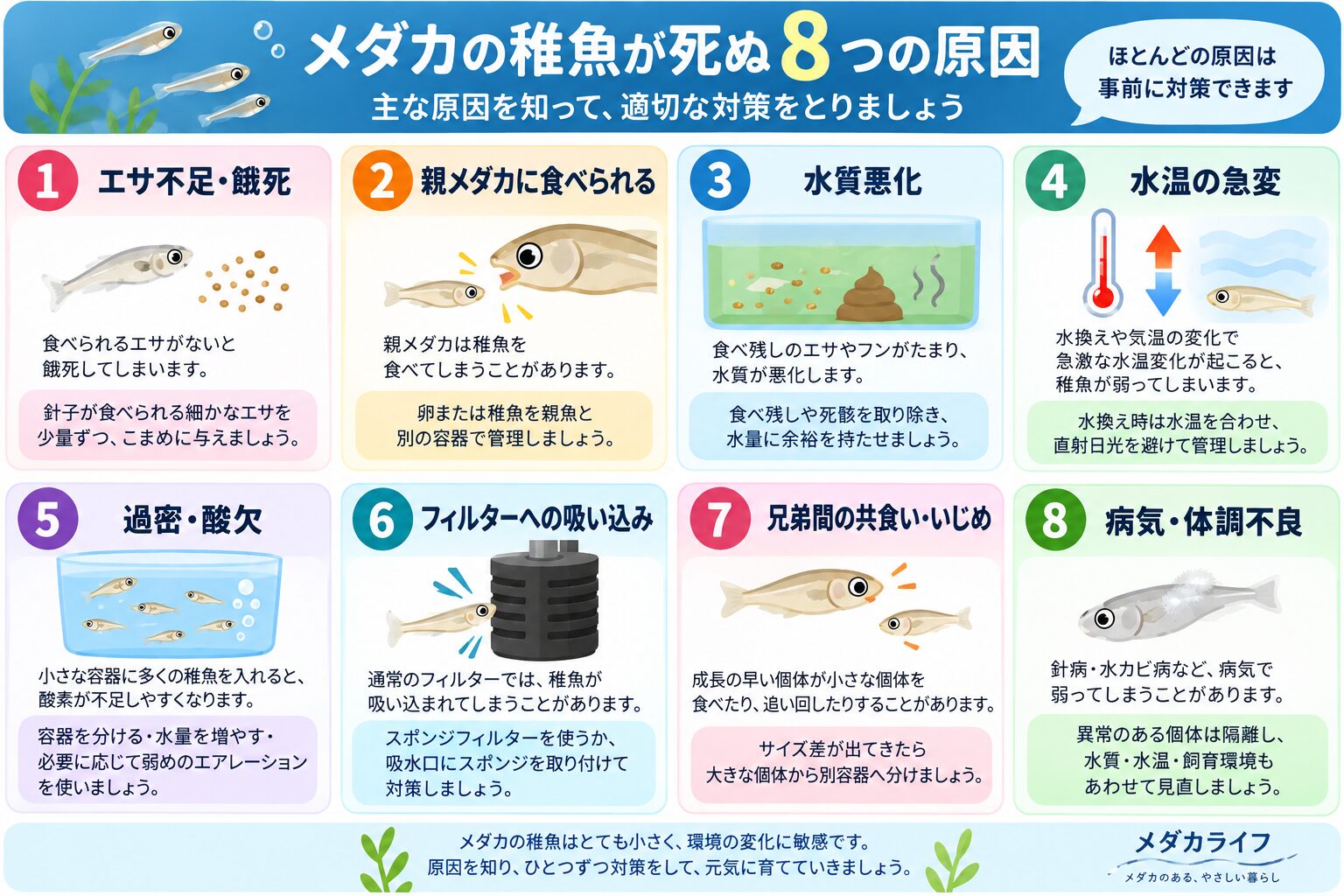 メダカの稚魚が死ぬ8つの原因をまとめた図解