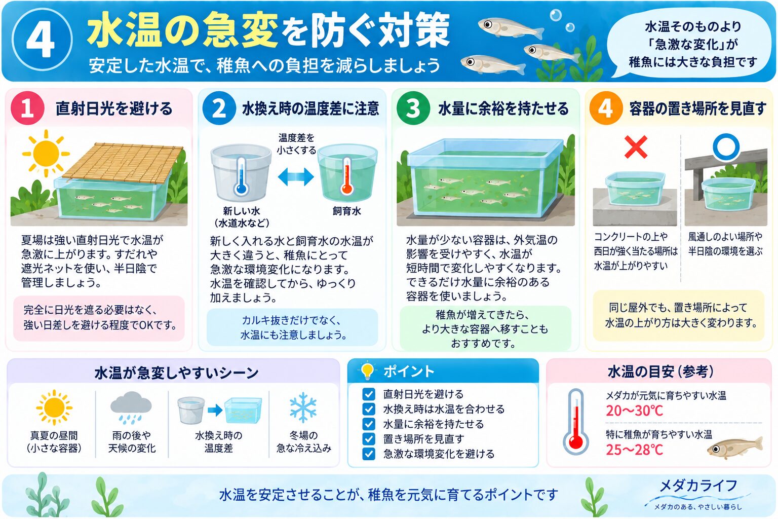 メダカの針子を水温急変から守る方法をまとめた図解
