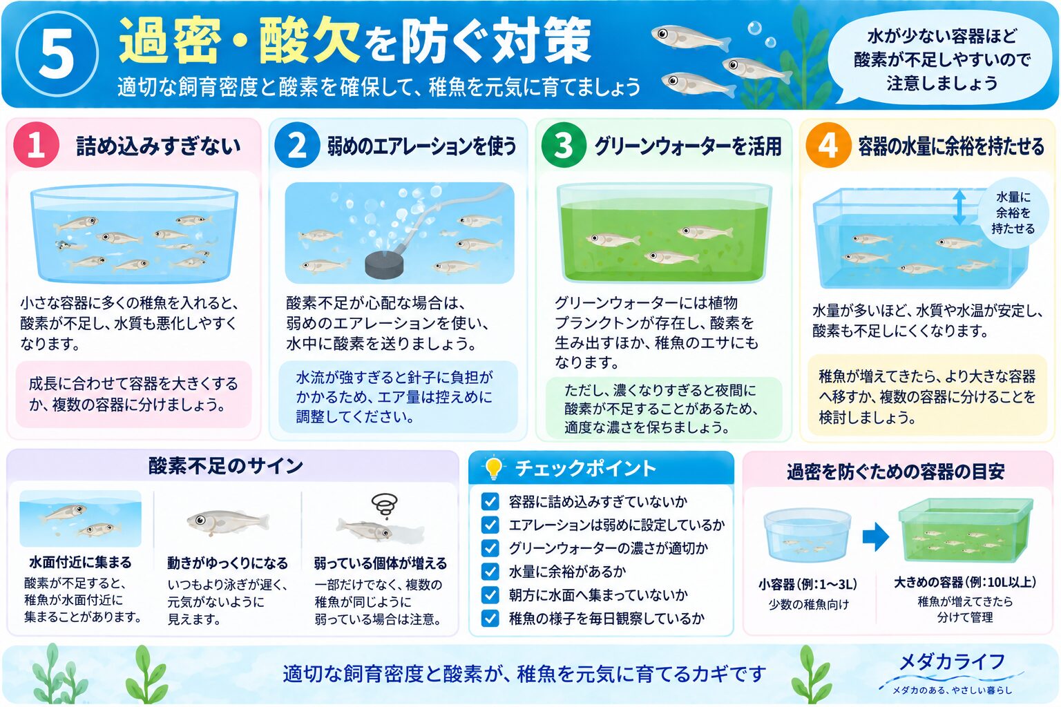 メダカの稚魚が減るときの原因を確認するチェックフロー